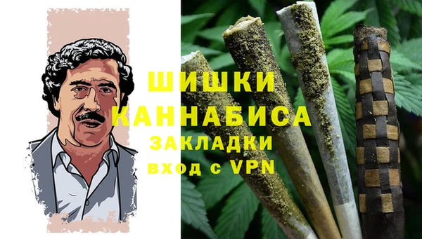 spice Верея