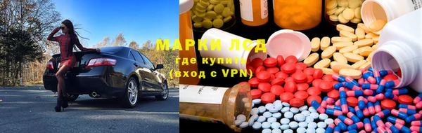 крисы Медвежьегорск