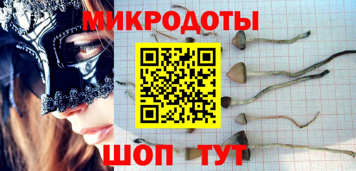 купить   Галлюциногенные грибы Psilocybe  Вход с VPN  Донской 